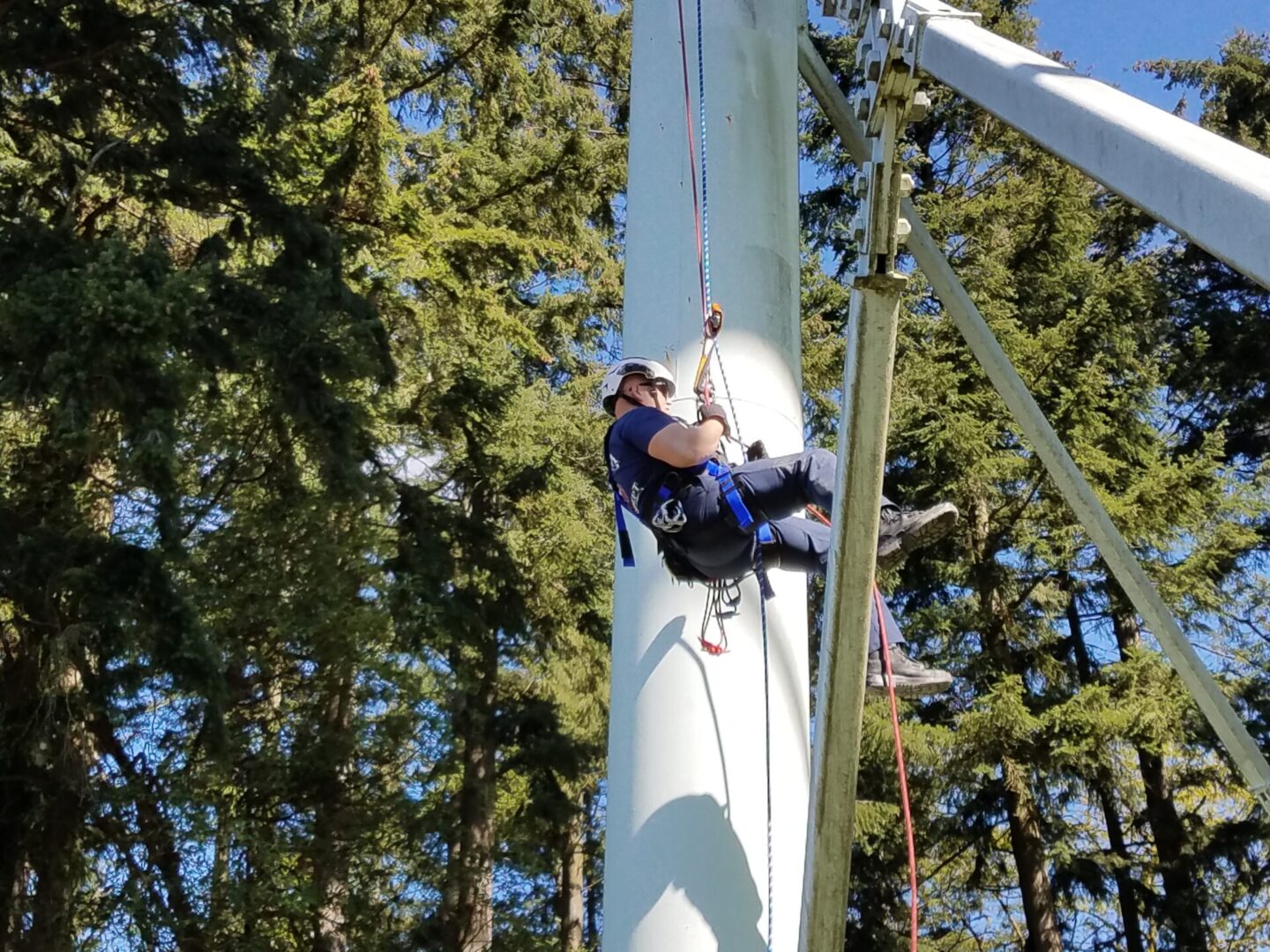 A man is climbing up the side of a tree.