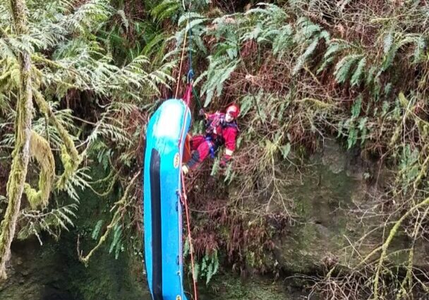 A blue float hanging from the side of a tree.